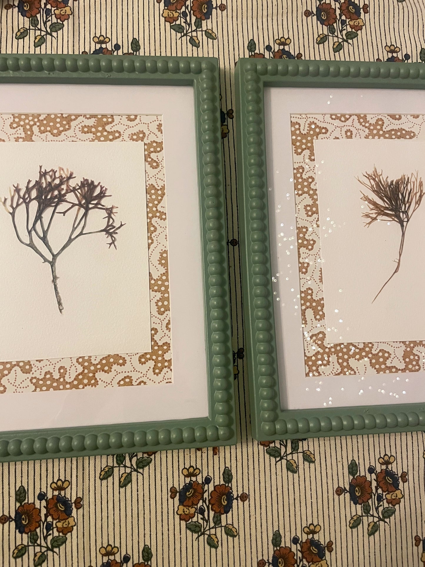 Pair of Irish Pressed Seaweeds