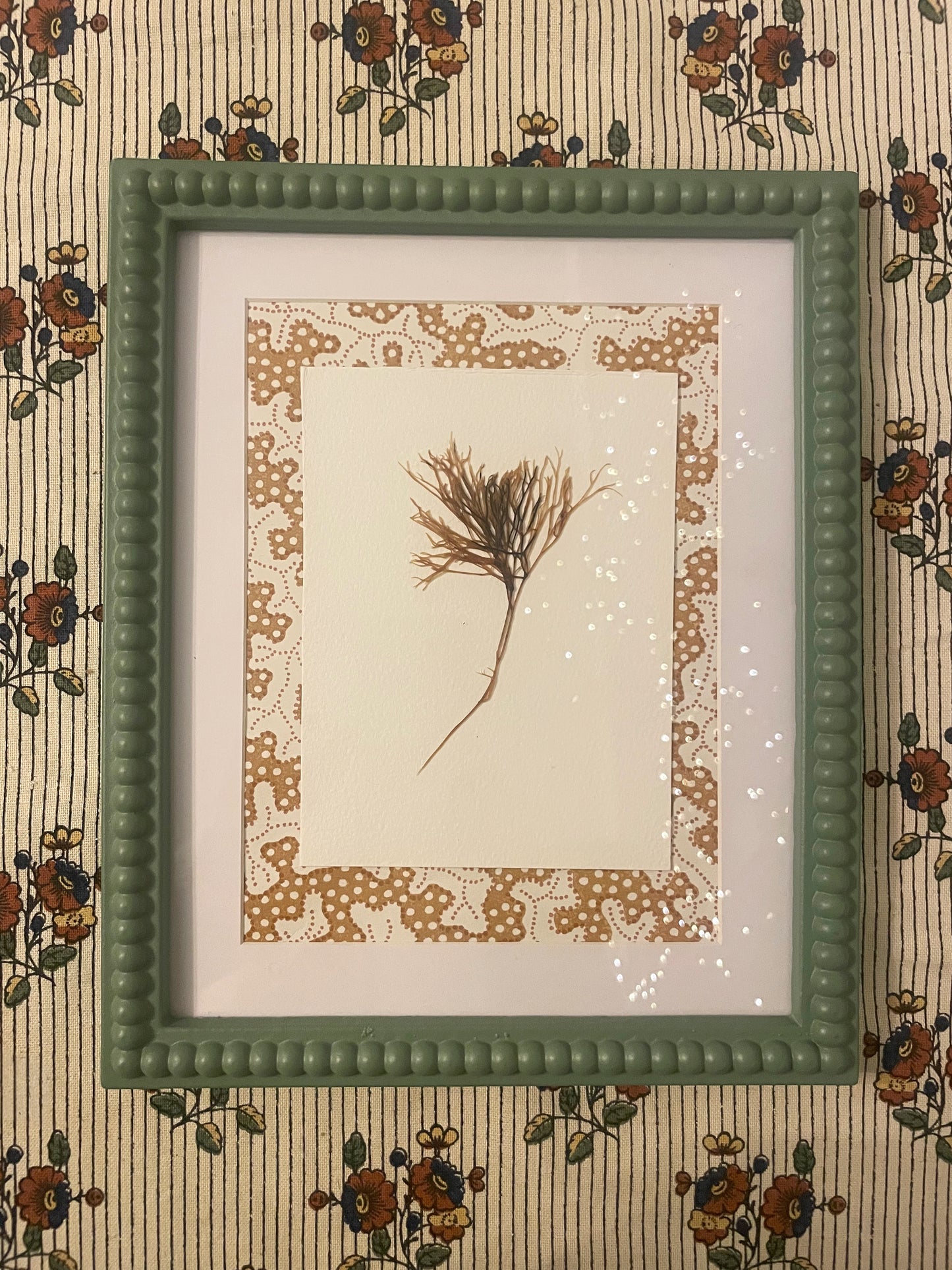 Pair of Irish Pressed Seaweeds