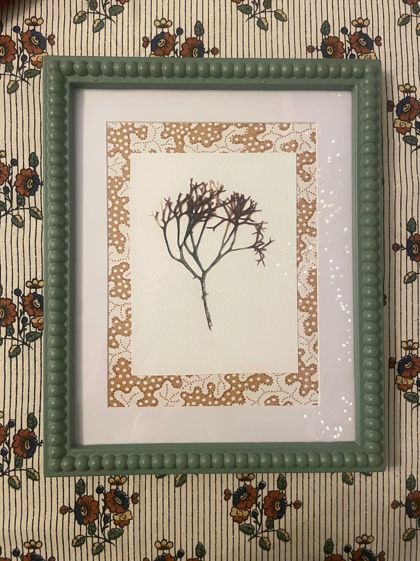 Pair of Irish Pressed Seaweeds