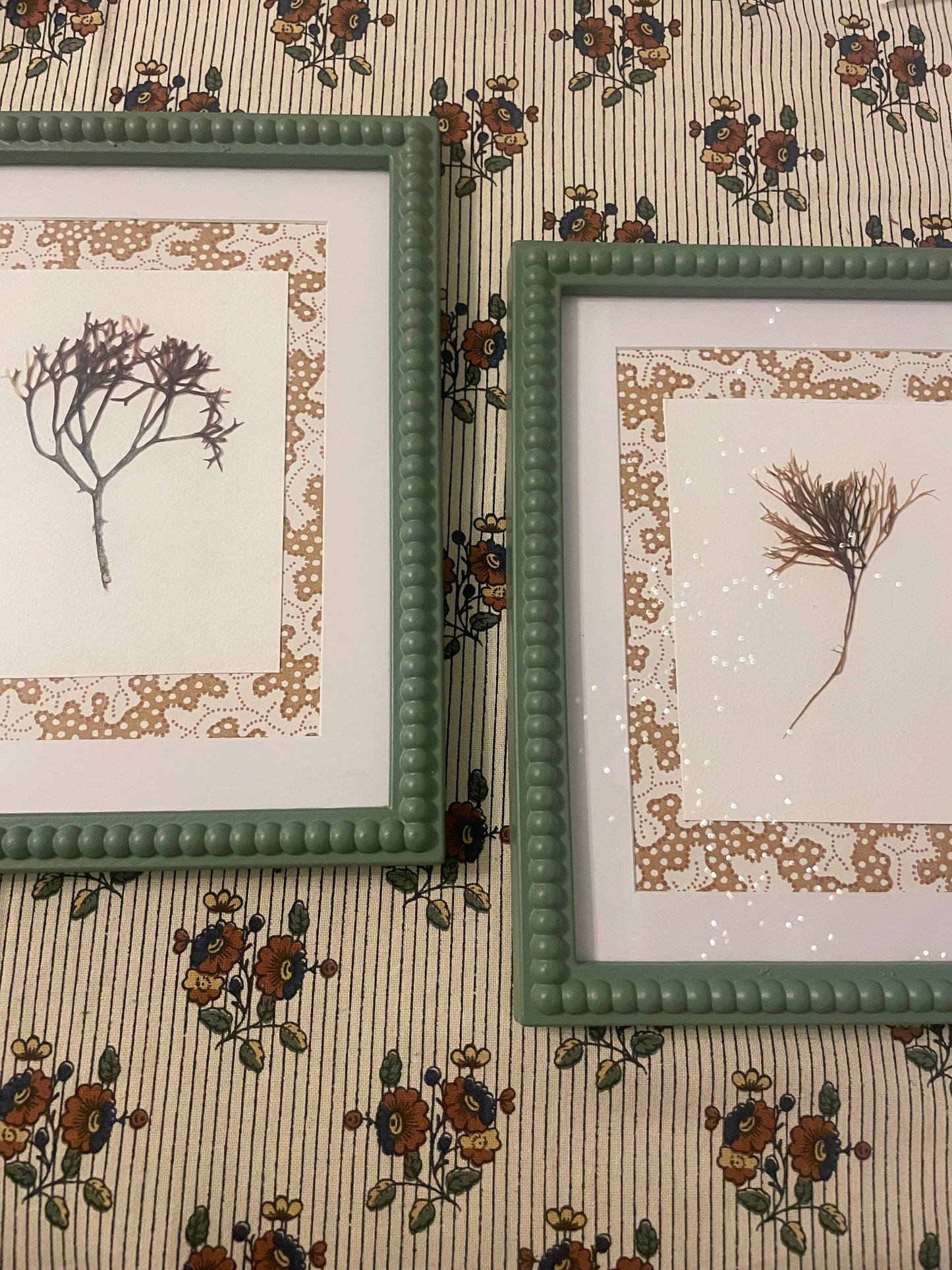 Pair of Irish Pressed Seaweeds